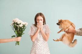 alergia pies kwiaty