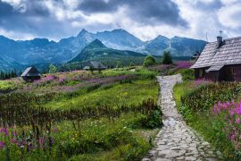 Hala Gąsienicowa - Tatry, Polska